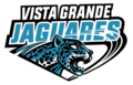 Vista Grande Logo